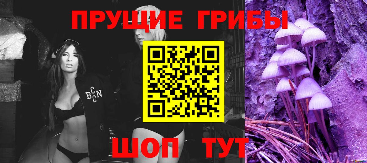 Псилоцибиновые грибы GOLDEN TEACHER  Галлюциногенные грибы GOLDEN TEACHER  Вход с VPN  Аксай 